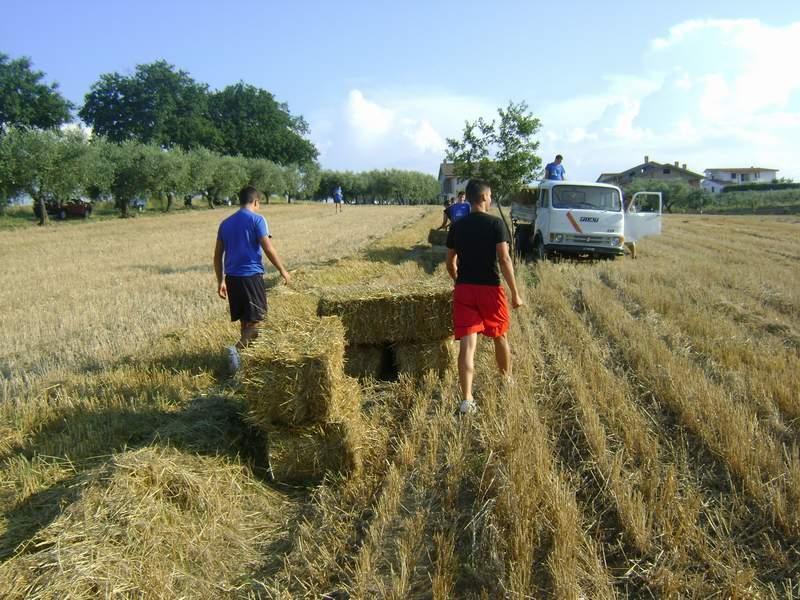 Preparazione campo (2).JPG